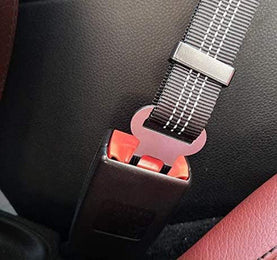Seatbelt Car Safety Lead for Pets, Car Pet Leash, Dog Car Seat Belt, Car Seat Belt for Dogs - interiorautotech