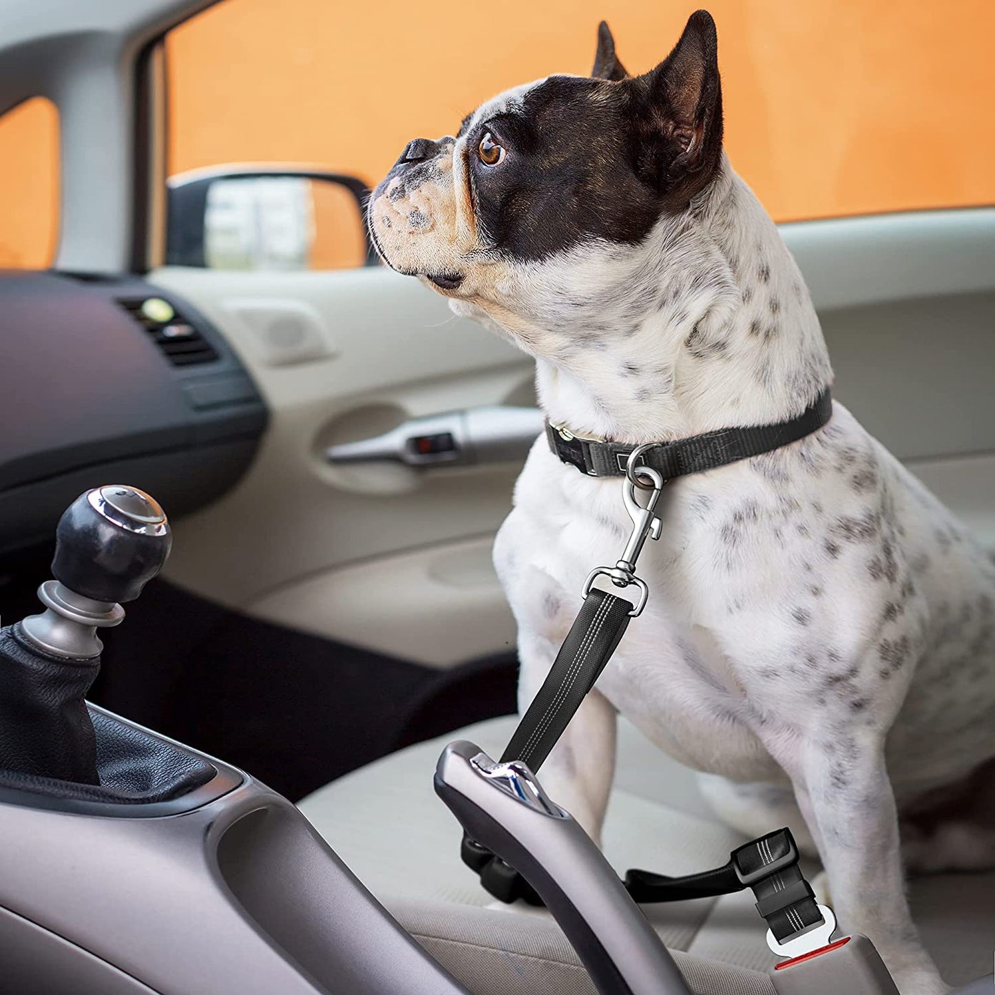 Dog Seat Belt for Car