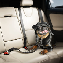 Seatbelt Car Safety Lead for Pets, Car Pet Leash, Dog Car Seat Belt, Car Seat Belt for Dogs - interiorautotech
